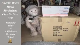 Charlie Bear Haul! Including the Largest Bear I Will Ever Own!!!! 🧸🐻🧸