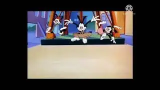 Casey’s dubs: Animaniacs!