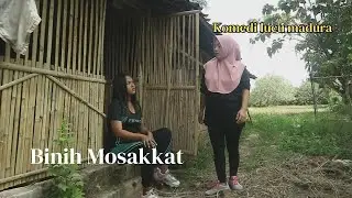 BINE MUSAKKAT - KOMEDI LUCU MADURA