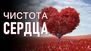 Чистота Сердца