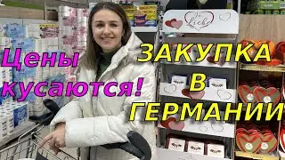 Семейная закупка продуктов в немецком Lidl в 2024/ Сколько тратим на продукты в месяц? Обзор цен