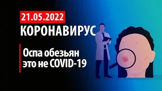 21 мая 2022. Что такое оспа обезьян? Статистика коронавируса в России на сегодня