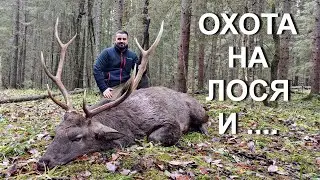 Охота НА ЛОСЯ 💥 ТРОФЕЙ добыт!!!