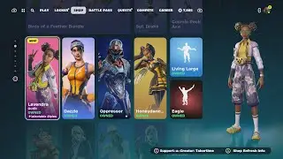 I Broke The Item Shop...