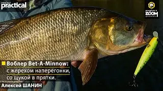 Воблер Bet-A-Minnow: c жерехом наперегонки, со щукой в прятки. Алексей Шанин. Anglers Practical.