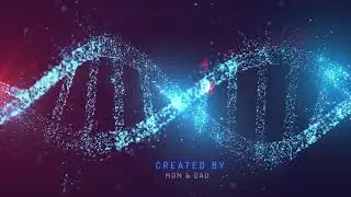 Royalty Free After Effects | Template DNA