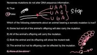 Definition of sense and nonsense mutations