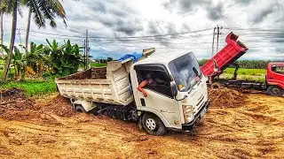 dump truk jomplang bongkar muatan tanah timbunan full bak