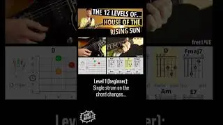 House of the Rising Sun - Beginner to Advanced! Guitar Lesson #beginnerguitar #guitarlesson #shorts