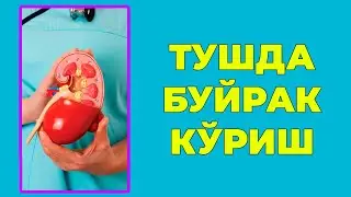 Туш табири   Тушда Буйрак куриш