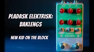 DO NOT BUY another Pedal - Pladask Baklengs Granular Synth/Glitch Delay