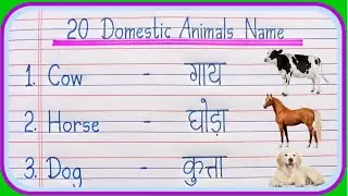 20 Pet Animals Name Hindi and English | Domestic Animals Name in English and Hindi With Spelling