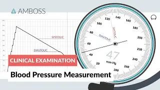 Blood Pressure Measurement - Clinical Examination