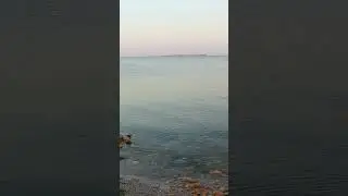 Азовское море: Самое маленькое море 😉 #природа #море #география