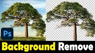 Background Remove | How to remove photo background in Photoshop | Bangla Tutorial 2022