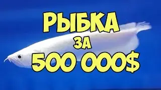 Рыбка за 500 000$