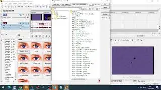How To Make in X High Sony Foundry Vegas Video 3.0