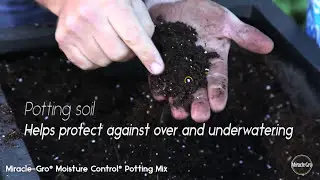 Potting mix soil vs. garden soil | Scotts Miracle-Gro Canada