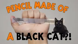 Cute Black Cat Mechanical Pencil from Korea - Fun Stationery from LilThinga!