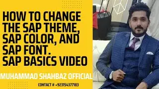 How to change SAP theme| How to change SAP colour | How to change SAP Font | SAP GUI basics Video