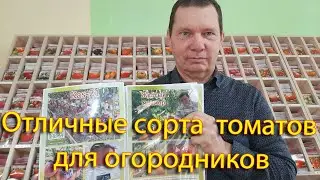 Отличные сорта  томатов для огородников. Обзор 2023 года