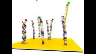 DNA Microarray