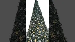 С наступающим новым 2024 годом  примите мои поздравления  вам .