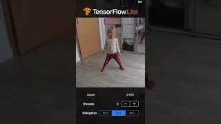 TensorFlow Light for iOS app. PoseNet deeplearning example.