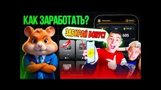 А4 СТАЛ ГЕНЕРАЛЬНЫМ ДИРЕКТОРОМ HAMSTER KOMBAT