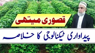 Production Technology of Fenugreek (Qasoori Methi) || Crop Reformer