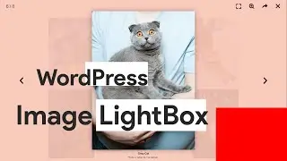 [BEST LIGHTBOX PLUGIN] How to add Image Lightbox on Your WordPress Website