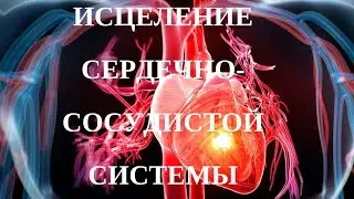 Исцеление сердечно-сосудистой системы