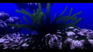 glon by DMA | 4k (720p HQ HD demoscene demo Gamedev.pl demoscene competition 2008)