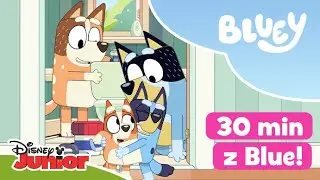 💙 30 MINUT z Blue i jej rodzinką! | Blue | Disney Junior Polska