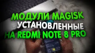 ✅📱Модули Magisk которые установлены на смартфоне Xiaomi Redmi Note 8 Pro📞📟