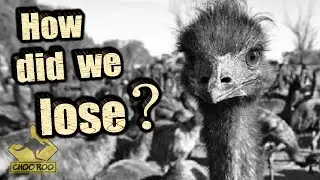 The Great Australian EMU WAR!