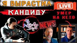 Новости: Я вырастил кандиду, Будущие эксперименты, Кето и рак