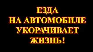 Алкоголь. Спорт. Вред езды на автомобиле.