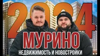 Мурино 2024 под Инвестиции в Недорогие Новостройки СПб. Цены на Недвижимость Петербурга. IT Ипотека