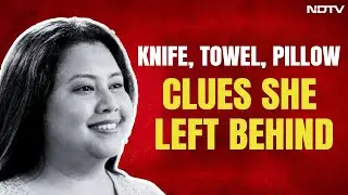 Bengaluru CEO Suchana Seth Left Clues Behind In Goa: Knife, Towel, Pillow, And More