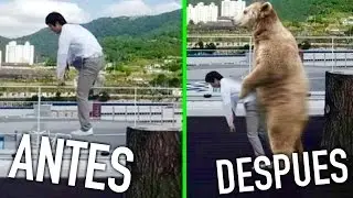 LOS DIOSES DEL TROLLEO EN PHOTOSHOP !!