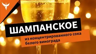 Шампанское из концентрированного сока белого винограда. Рецепт приготовления в домашних условиях