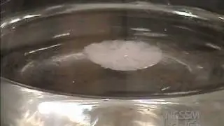 Sodium Acetate Crystals: Supersaturated Solution