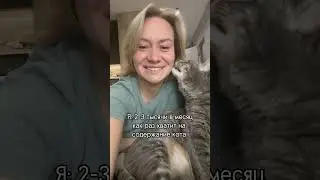 Знает себе цену 😹 
