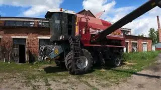 Эдильбаевская порода овец .