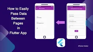 How to Easily Pass Data Between Pages in Flutter App