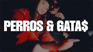 Nicki Nicole, SAIKO - PERROS&GATA$ (LETRA)