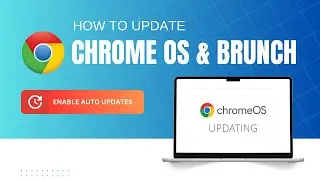 How to Update Chrome OS & Brunch | Enable Auto Updates Step-by-Step