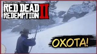 ПРИРОЖДЁННЫЙ ОХОТНИК! Red Dead Redemption 2 #3