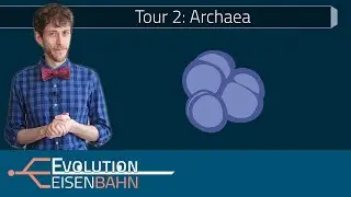 Tour 2: Archaea – the most underrated Domain of Life